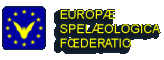 fse_web_logo